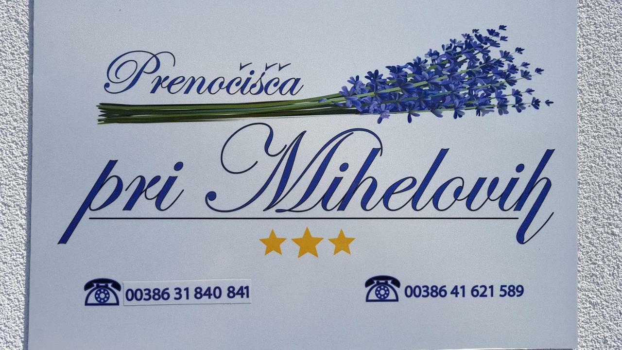 Guesthouse Pri Mihelovih Sežana Exterior foto